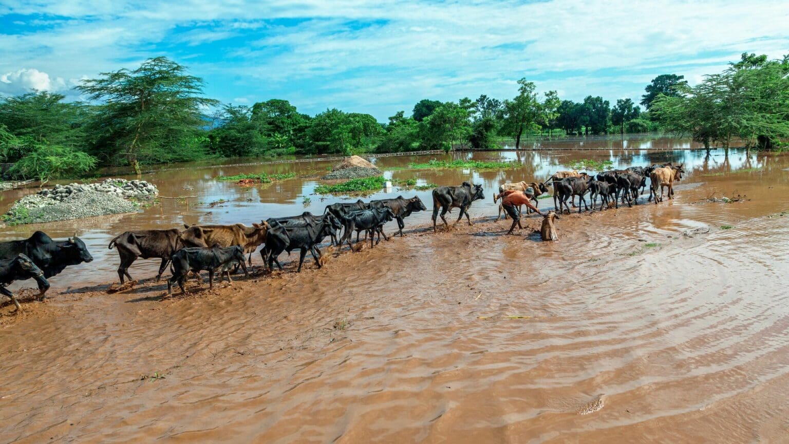 Climat : à quelques semaines de la CoP 27, le Togo subit les pertes et dommages