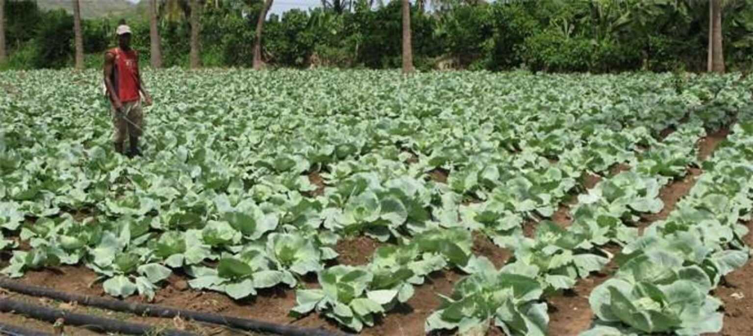 Côte d’Ivoire : vers l’instauration d’une assurance climatique pour les agriculteurs