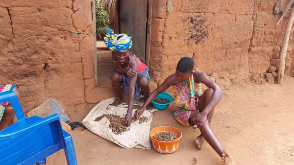 Enquête sur les conditions de vie des ménages : le Togo prépare la troisième édition