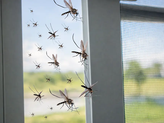 Lutte contre le paludisme : le ministère de la Santé annonce la distribution de plus de six millions de moustiquaires