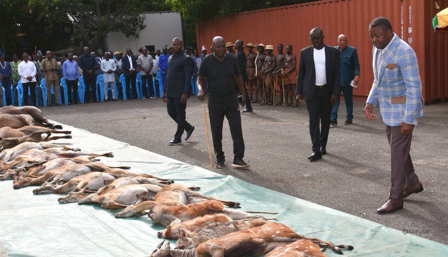 Pya : clôture de la chasse traditionnelle en pays Kabyè en présence de Faure Gnassingbé