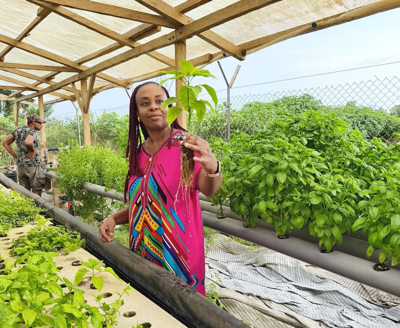 Côte d’Ivoire : une ferme aquaponique pour produire autrement
