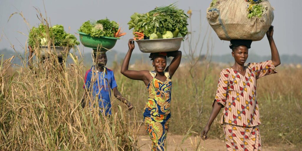 Togo : un recensement national lancé pour mieux structurer l’économie sociale et solidaire