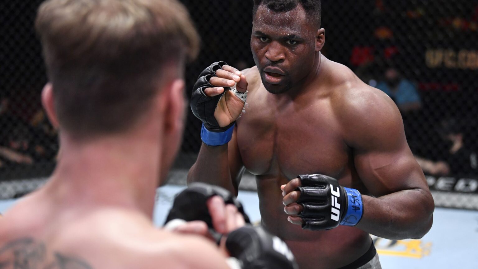 Sport : Francis Ngannou signe un retour victorieux en MMA face à Philipe Lins