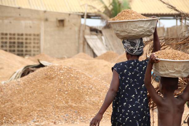 Développement local : un programme de 4,85 milliards FCFA lancé dans la Kara et les Savanes