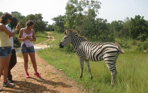 Togo: deux excursions inédites lancées à Kara en marge des Evala 2026