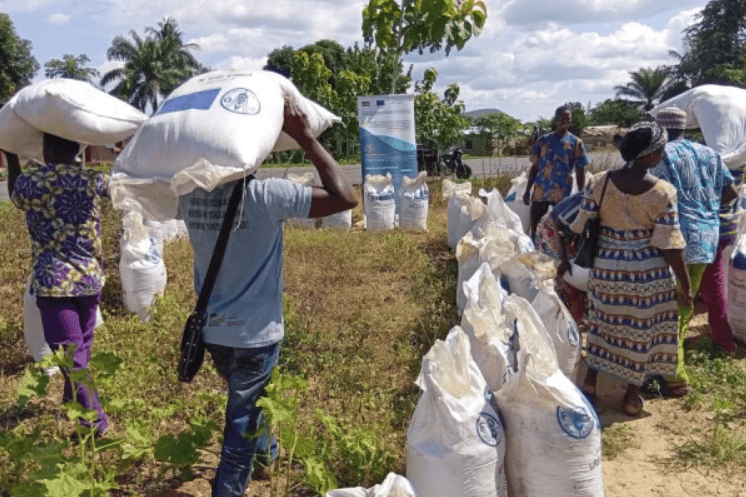 Togo : le projet Pro-SADI appuie 12 600 producteurs