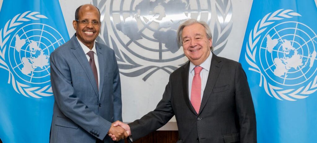 RDC : l’Onu et l’Union africaine réaffirment leur soutien à la médiation togolaise