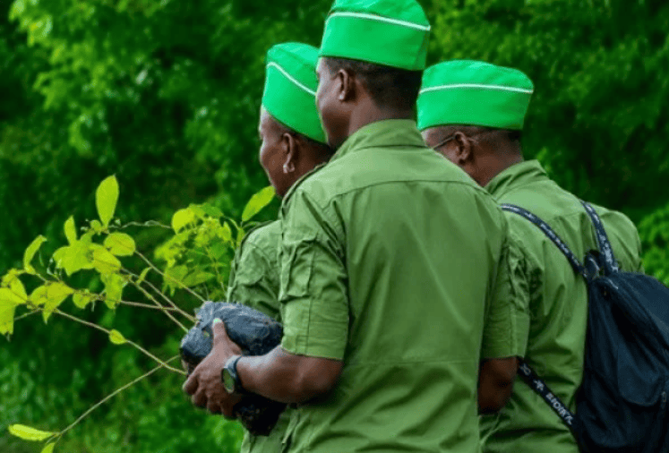 Togo : de nouvelles brigades mobiles pour renforcer la surveillance environnementale