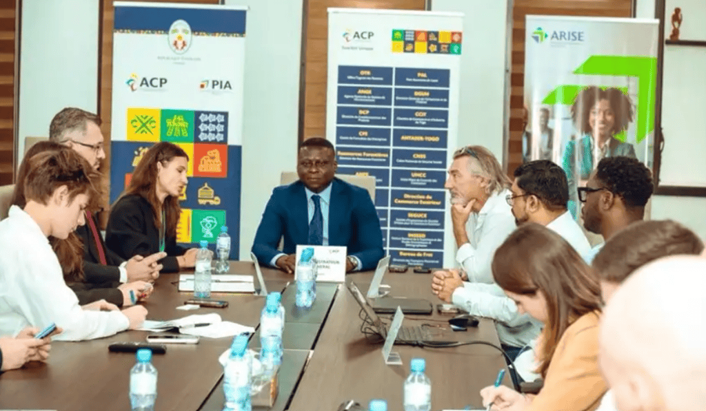 Togo : la PIA présente ses opportunités d’investissement à des investisseurs russes