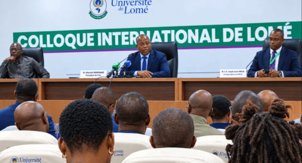 Togo-Cédéao : diversité institutionnelle et souveraineté au cœur du débat